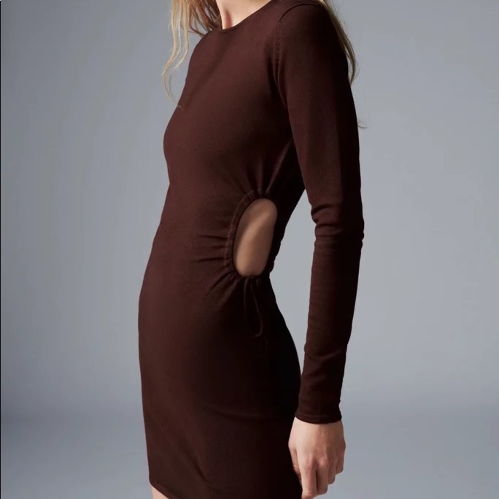 Zara Burgundy Fitted Dress
